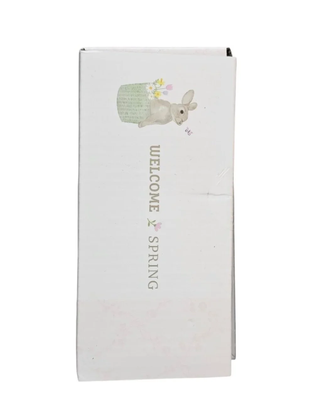 Welcome Spring Bunnies Holding Flowers  Salt & Pepper Shaker Hand Painted NIB